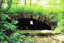 Ruine Wildberg